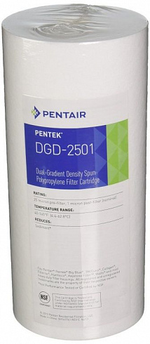 Pentair (Pentek) DGD-2501 BB